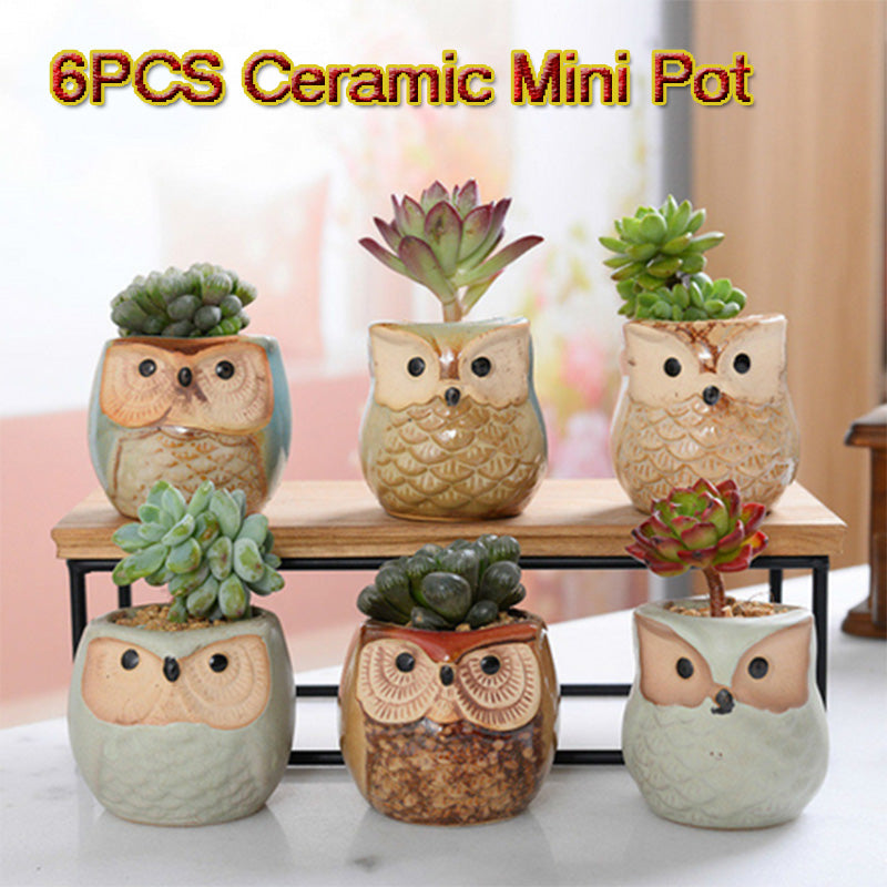 6PCS Mini Owl Plant Pots Ceramic Succulent Cactus Bonsai Flower Pots