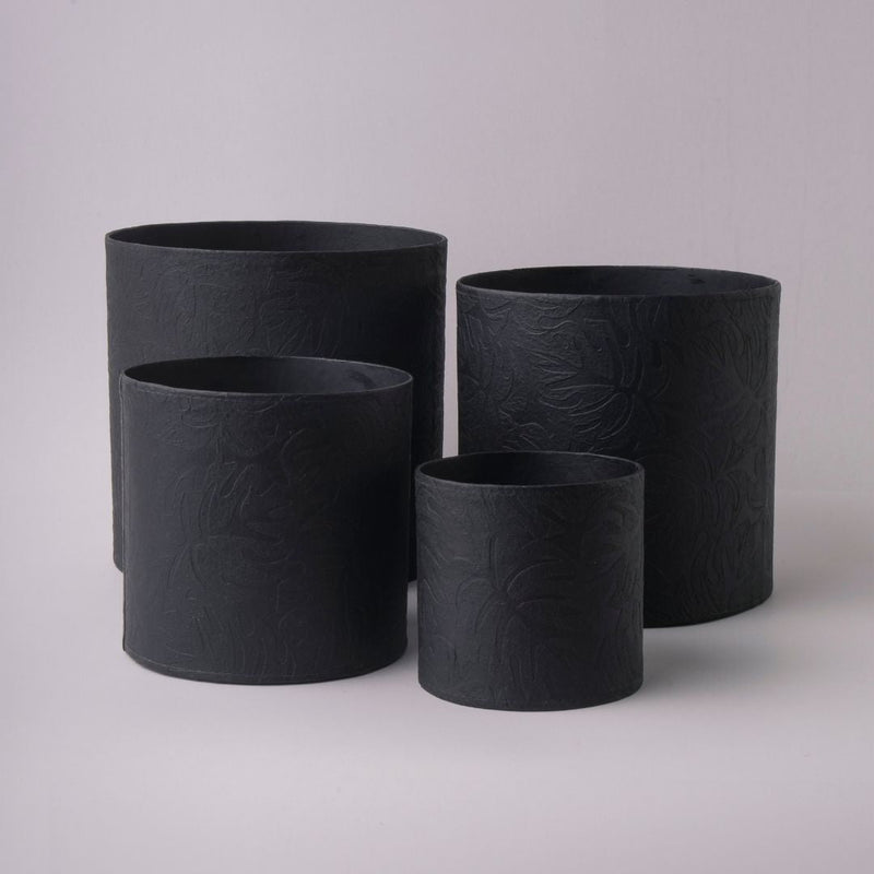 Tree Stripes Cylinder Pot Monstera - Black (Extra Large)