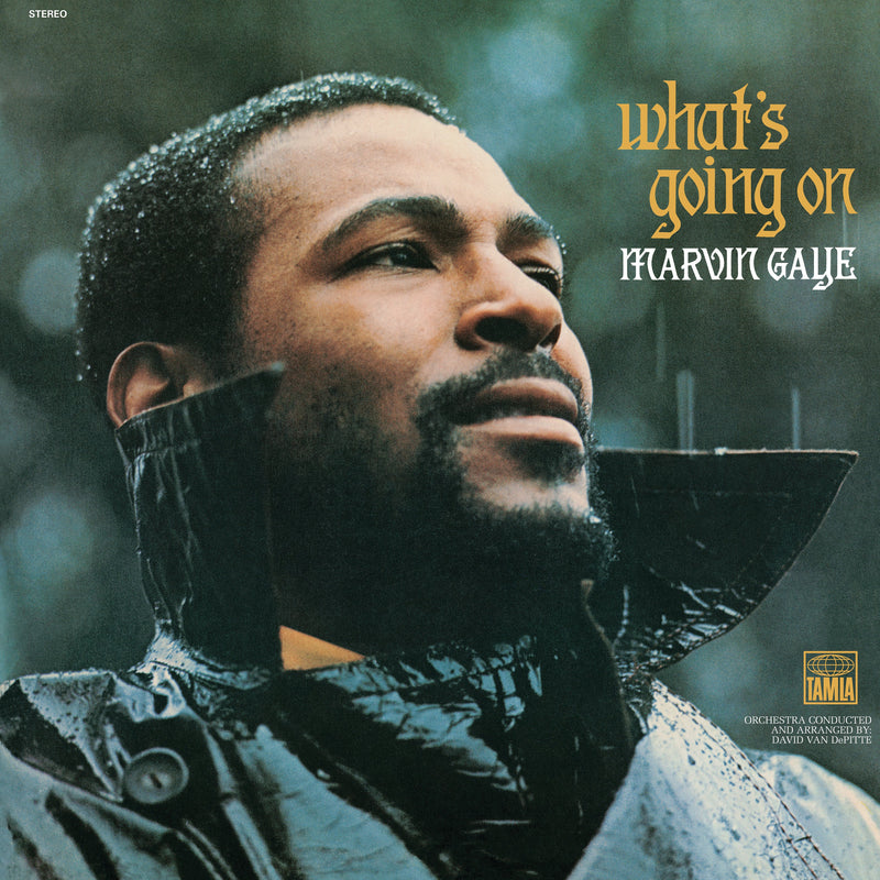 Marvin Gaye What&
